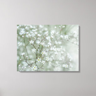 Impressão Em Tela Flores de Respiro de Bebê Fotografia da Natureza A