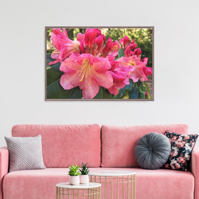 Impressão Em Tela Flores de Rhododendron Rosa (Insitu(Sala de estar))