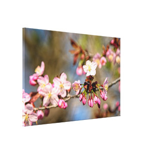 Impressão Em Tela Flores De Sakura, Frescas E Roxos