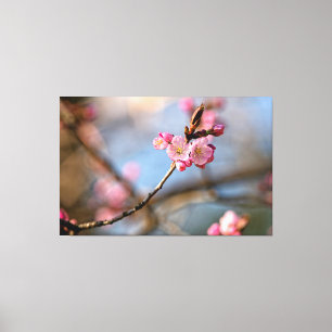 Impressão Em Tela Flores de Sakura Lindas Contra o Fundo Cinza