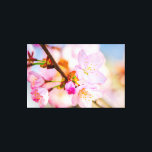 Impressão Em Tela Flores de Sakura rosa. O Triunfo Da Vida Na Primav<br><div class="desc">Um monte de flores e botões de sakura cor-de-rosa macio em um galho de árvore. O fundo suave e colorido do céu azul e da cereja floresce. O triunfo da vida. Uma pintura digital muito grande a partir de uma fotografia. Impressão floral esticada de tela para decorar seu lugar ou...</div>