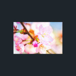 Impressão Em Tela Flores de Sakura rosa. O Triunfo Da Vida Na Primav<br><div class="desc">Um monte de flores e botões de sakura cor-de-rosa macio em um galho de árvore. O fundo suave e colorido do céu azul e da cereja floresce. O triunfo da vida. Uma pintura digital muito grande a partir de uma fotografia. Impressão floral esticada de tela para decorar seu lugar ou...</div>