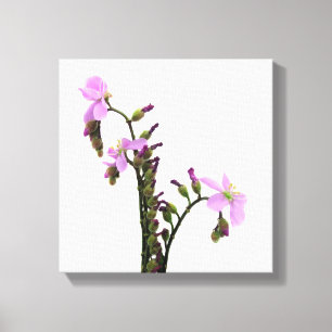 Impressão Em Tela Flores de Sol Roxo