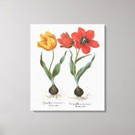 Impressão Em Tela Flores de Tulipa da Primavera Vintage por Basilius