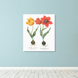 Impressão Em Tela Flores de Tulipa da Primavera Vintage por Basilius