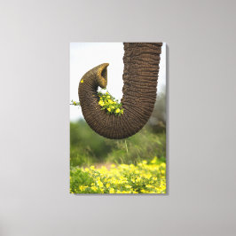 Impressão Em Tela Flores de um Gigante