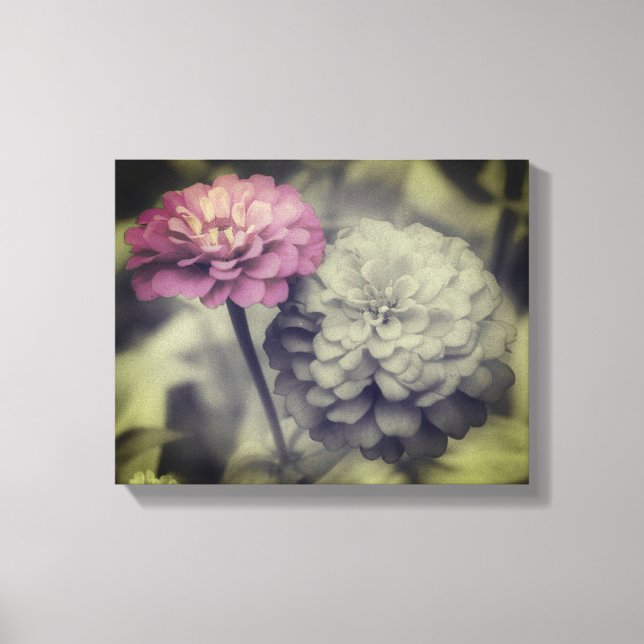 Impressão Em Tela Flores De Zinnia Rosa Pretas E Brancas (Frente)