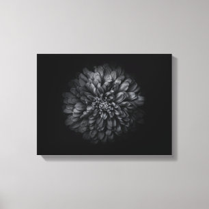 Impressão Em Tela Flores do Quintal em Preto e Branco Nº 68