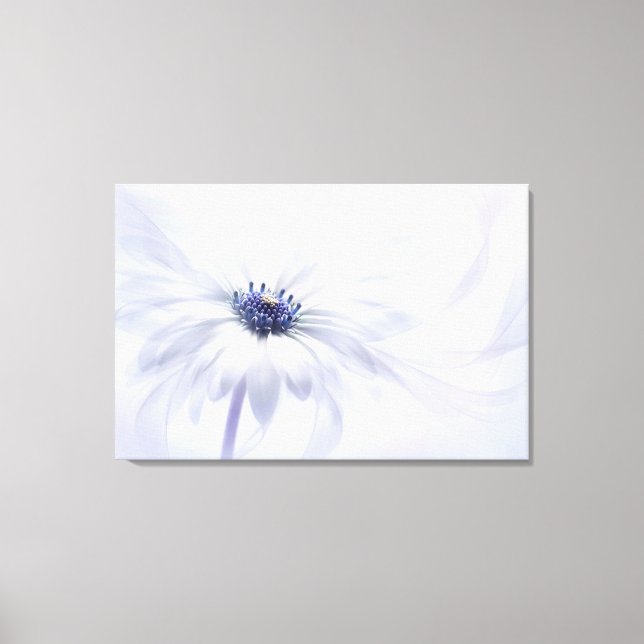Impressão Em Tela Flores | Flor pálida (Frente)