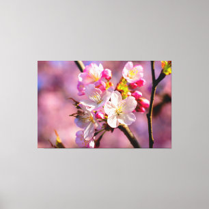 Impressão Em Tela Flores Frescas de Sakura no Jardim na Primavera