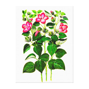 Impressão Em Tela Flores italianas cor-de-rosa do hibiscus