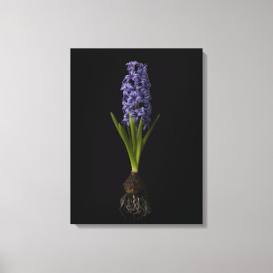 Impressão Em Tela Flores Lâmpada de Hyacinth Roxa