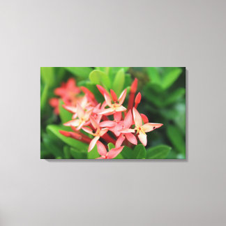 Impressão Em Tela Flores na selva