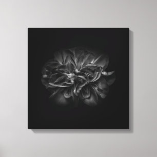 Impressão Em Tela Flores no Quintal em Preto e Branco Nº 67