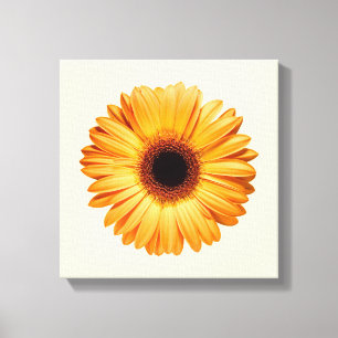 Impressão Em Tela Flores Orange Gerbera