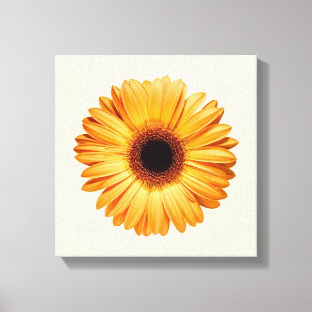 Impressão Em Tela Flores | Orange Gerbera (Frente)