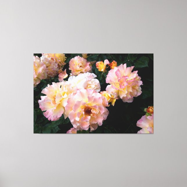 Impressão Em Tela Flores rosas, Rosas Amarelas Rosa (Frente)