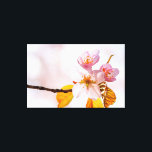 Impressão Em Tela Flores Sakura E Fundo Rosa Suave De Primavera<br><div class="desc">Um grupo de flores sakura de cor rosa pálido. Folhas de laranja na ponta de um galho. O fundo da cor rosa pálida da cereja floresce. A beleza da primavera. Uma pintura digital muito grande a partir de uma fotografia. Impressão floral esticada de tela para decorar seu lugar ou para...</div>
