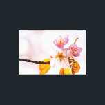 Impressão Em Tela Flores Sakura E Fundo Rosa Suave De Primavera<br><div class="desc">Um grupo de flores sakura de cor rosa pálido. Folhas de laranja na ponta de um galho. O fundo da cor rosa pálida da cereja floresce. A beleza da primavera. Uma pintura digital muito grande a partir de uma fotografia. Impressão floral esticada de tela para decorar seu lugar ou para...</div>