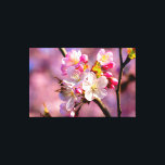 Impressão Em Tela Flores Sakura Frescas No Jardim Em Springtime<br><div class="desc">Um aglomerado brilhante de flores e botões frescos da sakura em um galho de árvore contra o rico fundo cor-de-rosa das flores de cereja. Um fundo delicadamente macio de cores azuis, rosa e amarelas. As incríveis cores da estação de primavera. Uma pintura digital muito grande a partir de uma fotografia....</div>