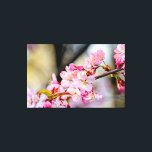 Impressão Em Tela Flores Sakura No Jardim Em Springtime<br><div class="desc">cerejeira japonesa em floração. Um galho fino é coberto de flores e botões de sakura cor-de-rosa. O tronco da árvore escura no fundo das cores bege, roxo suave e cinza. Uma cereja adorável floresce em primavera. Uma pintura digital muito grande a partir de uma fotografia. Impressão floral esticada de tela...</div>