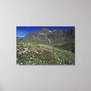 Impressão Em Tela Flores silvestres, florescendo, Alpes, Suíça