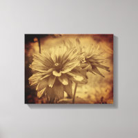 Flores Susan De Olhos Negros Sepia Vintage