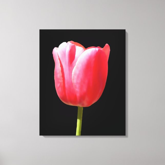 Impressão Em Tela Florescimento de Tulipa Elegante (Frente)