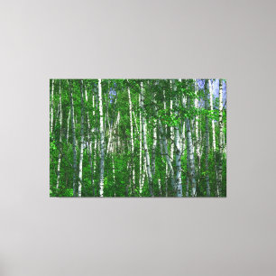Impressão Em Tela FLORESTA BRANCA 40x60