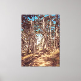 Impressão Em Tela Floresta Cypress