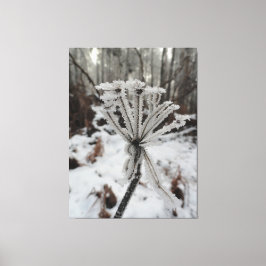 Impressão Em Tela Floresta de inverno sobre plantas na fotografia da
