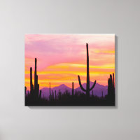 Floresta de Saguaro Cactus aos domingos