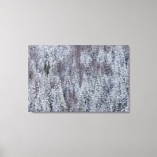Impressão Em Tela Floresta Neve, Monte Rainier National Park
