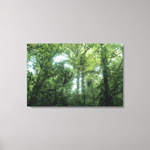 Impressão Em Tela Floresta Nubosa de Monteverde, Costa Rica.