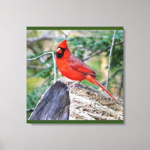 Impressão Em Tela Florestas Cardinais Crimson