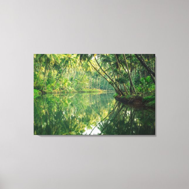 Impressão Em Tela Florestas | Floresta Mangrove (Frente)