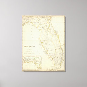 Impressão Em Tela Florida 11