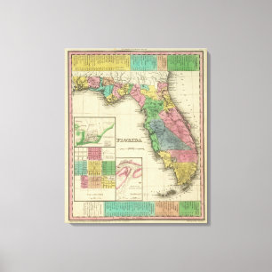 Impressão Em Tela Florida 8