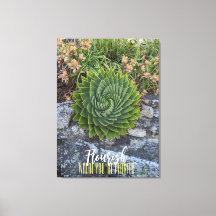 Flourish onde você plantou espiral só granito