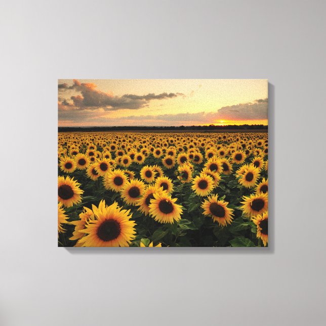 Impressão Em Tela Flowers | Sunflower Field (Frente)