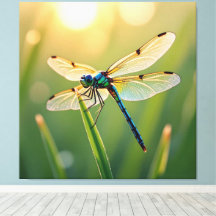 Flügel aus Licht – Die Libelle