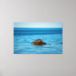 Impressão Em Tela Foca-do-Atlântico