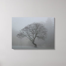 Impressão Em Tela Foggy Tree