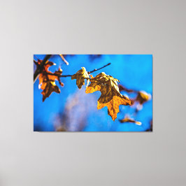 Impressão Em Tela Folha de carvalho seca - Primavera nem longe