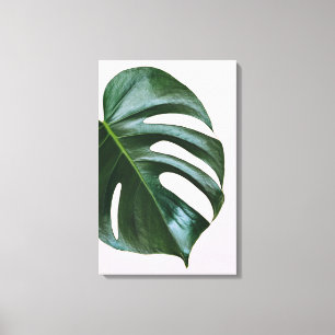 Impressão Em Tela Folha tropical de Monstera
