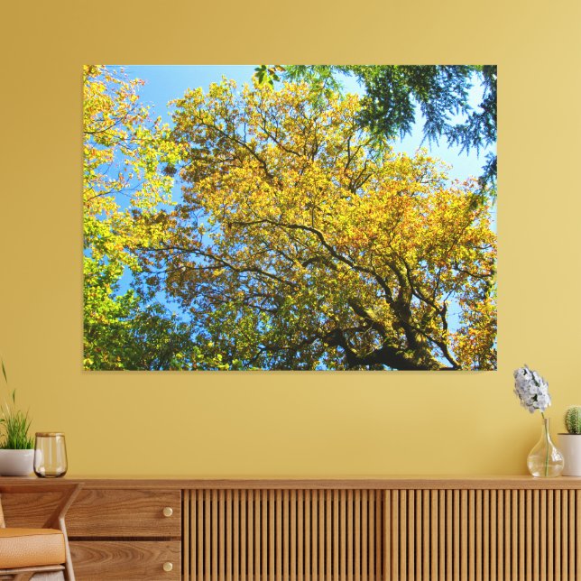 Impressão Em Tela Folhagem do Céu Azul e do outono - (Insitu(Sala de estar))