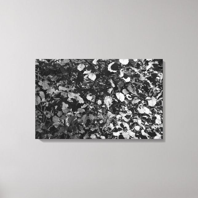 Impressão Em Tela Folhas de luz solar (Frente)