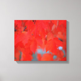Impressão Em Tela Folhas de Mapeamento Vermelho no outono