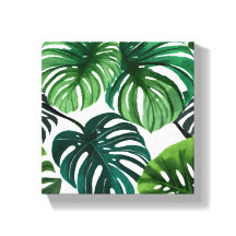 Folhas de Monstera | Aquarela Moderna Simples