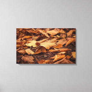 Impressão Em Tela Folhas de outono